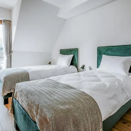 Krokus Przy Polanie Bialy Potok Witów