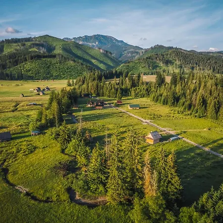 Krokus Przy Polanie Bialy Potok Daire *