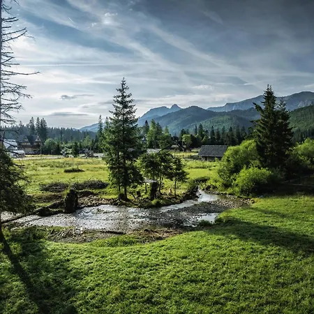 Krokus Przy Polanie Bialy Potok