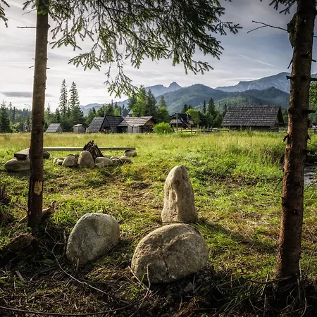 Krokus Przy Polanie Bialy Potok *