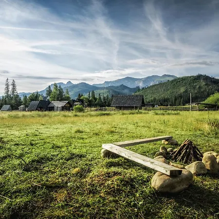 Krokus Przy Polanie Bialy Potok Daire