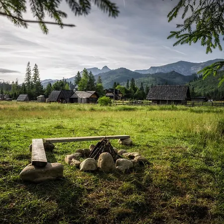 Krokus Przy Polanie Bialy Potok Daire Witów