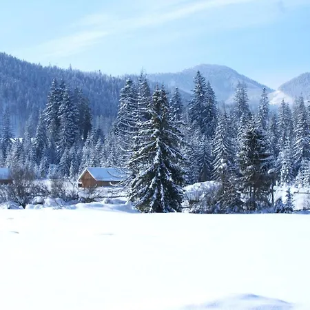 Krokus Przy Polanie Bialy Potok Appartement