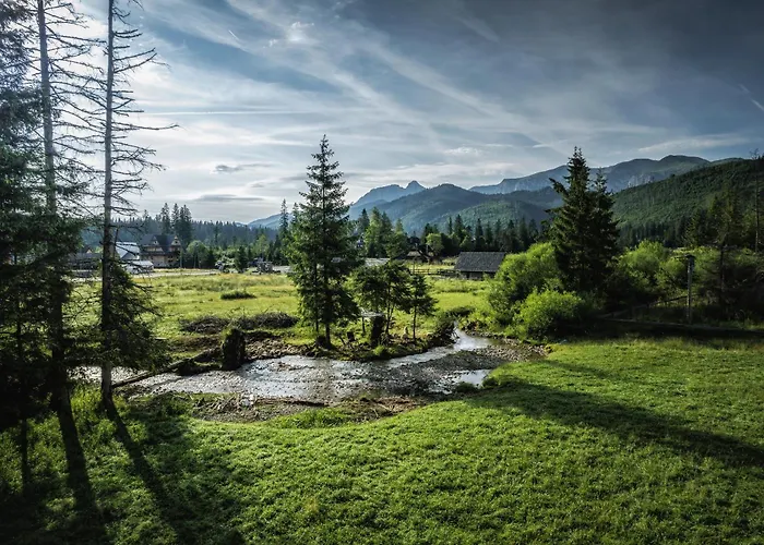 Krokus Przy Polanie Bialy Potok