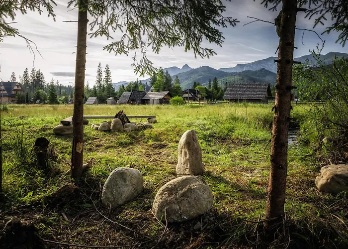 Krokus Przy Polanie Bialy Potok *