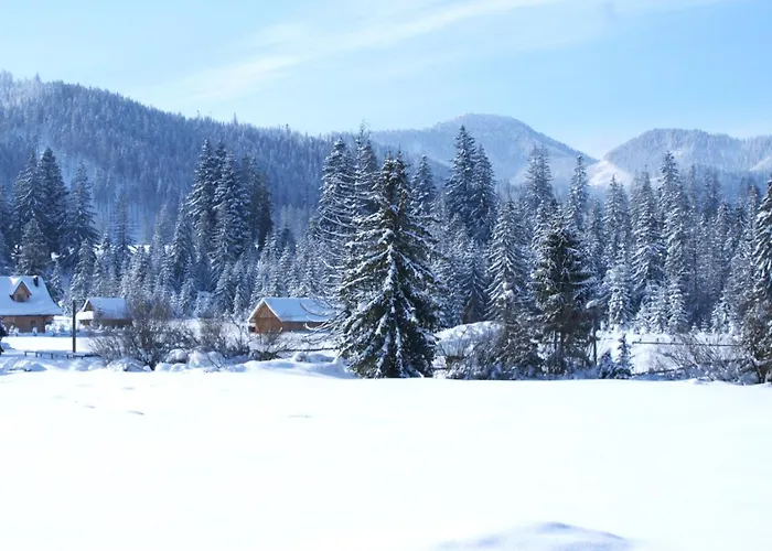 Krokus Przy Polanie Bialy Potok Appartement