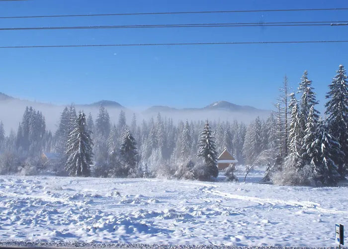 Krokus Przy Polanie Bialy Potok Appartement *